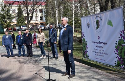 Расцветет сирень  “Саду памяти”