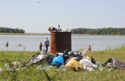 «Стихийный», но единственный