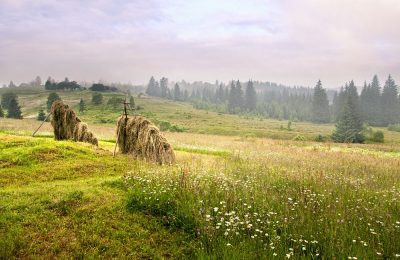 Праздник накануне сенокоса