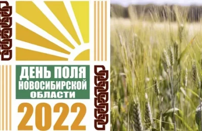 Масштабное межрегиональное мероприятие «День поля Новосибирской области – 2022» состоится 5 августа