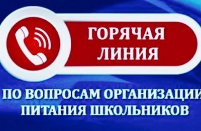 «Горячая линия» по вопросам организации школьного питания заработала в Новосибирской области