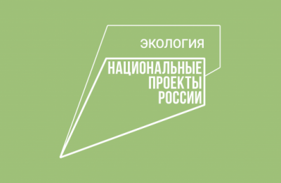 Андрей Травников поздравил работников леса с профессиональным праздником