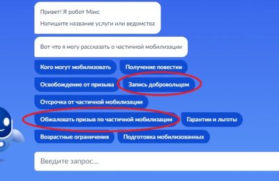 Через госуслуги можно обжаловать ошибочное решение о призыве по частичной мобилизации.