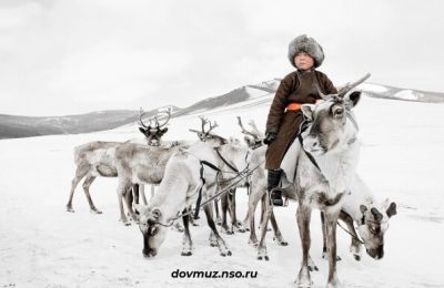 с 17 октября в Доволенском историко-краеведческом музее работает фотовыставка «ЭВЕНКИ: КОЧЕВНИКИ ТАЙГИ»