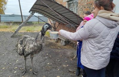 Школьный экскурс по району