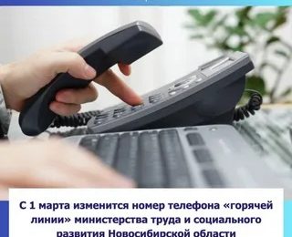 С 1 марта изменится номер телефона «горячей линии» минтруда и соцразвития Новосибирской области