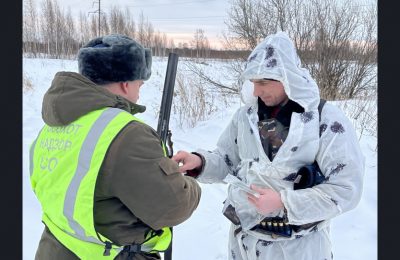 Мобильное приложение «iЕгерь» позволило ускорить проверку документов охотников в регионе