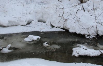 Доволенский район не является паводкоопасным