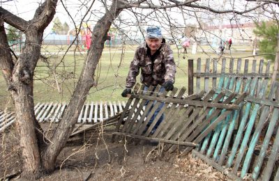 Творческий порядок