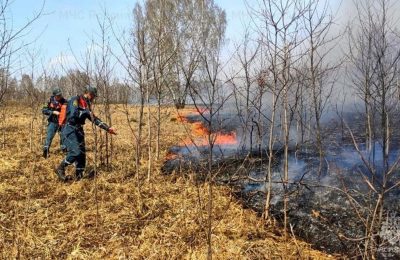 В Новосибирской области продлен особый противопожарный режим