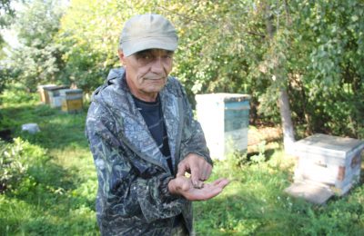 Пасечник из Довольного рассказал о пчёлах и пользе мёда