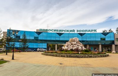 С 25 сентября в Новосибирском зоопарке для пенсионеров вход бесплатный