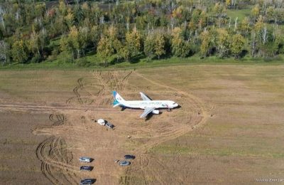 В «Уральских авиалиниях» готовы возместить новосибирским аграриям ущерб, нанесённый при экстренной посадке самолёта в поле