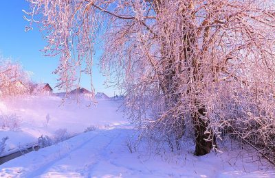 Сильные морозы на территории Доволенского района, по данным гидрометцентра продлятся до 13.12.2023г.