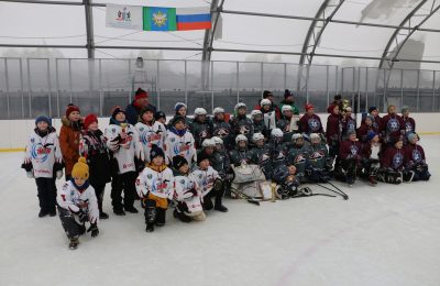 Межрайонный турнир по хоккею на призы газеты “Сельская правда”