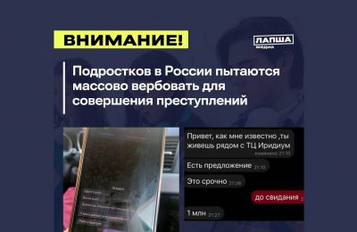 Подростки из России стали получать сообщения с предложениями совершить преступления за деньги