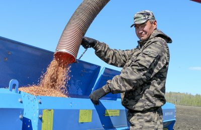 Универсальный «боец»