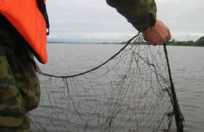 Уголовное дело за незаконную рыбную ловлю