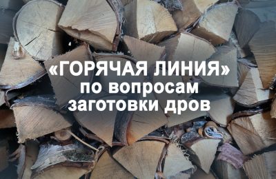 «Горячая линия» по вопросам заготовки дров