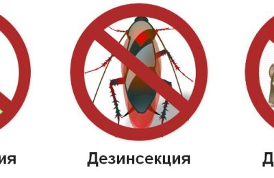 Дератизация, дезинфекция и дезинсекция – в чем же разница?