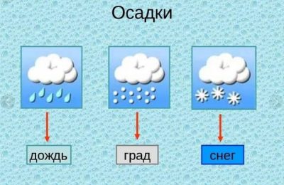 Метеостанция Доволенского района отобрала пробы почв на запас влаги