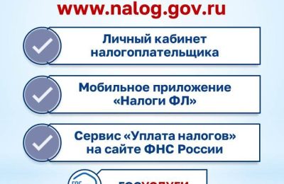 Как узнать о наличии налоговой задолженности и погасить её?