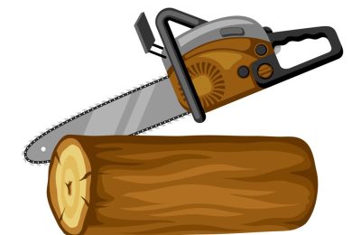 Жителя Утянки судят за незаконно срубленную берёзу