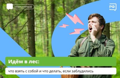 Что взять с собой в лес и что делать, если вдруг заблудились?