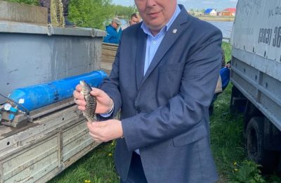 В осень за зеркальным карпом