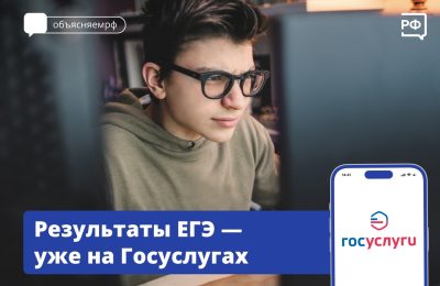 Первые результаты ЕГЭ можно посмотреть на портале Госуслуг