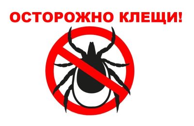 Смертельный укус