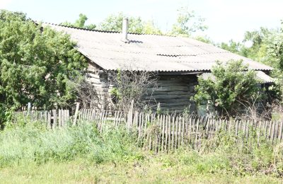 Сорняки идут в наступление
