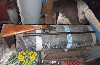 Подарил ружье племяннику – получил условный срок