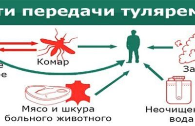 Коварный укус