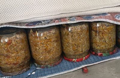 Рыжие сестрички