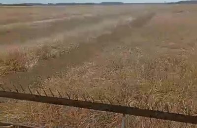 Пришло время уборки