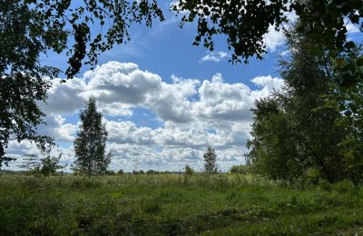 Прогуляться и не потеряться