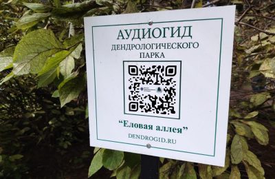 Первый аудиогид, посвященный особо охраняемой природной территории, появился в Новосибирской области