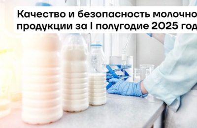 Проверка качества и безопасности молока и молочной продукции на территории НСО
