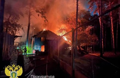 Пожар в новосибирском зоопарке: погибло несколько животных