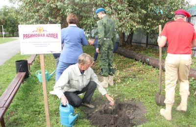 Рябиновая аллея героев СВО