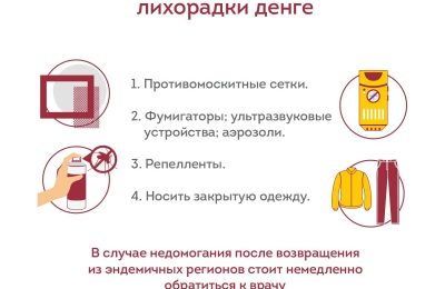 Лихорадка Денге – что это и как передаётся