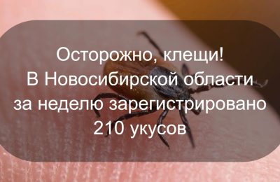 Бабье лето и клещи