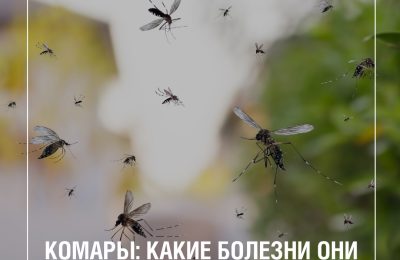 Маленькие, но опасные