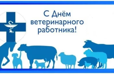 Уважаемые коллеги, работники ветеринарии!