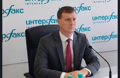 Новый лесной питомник планируют создать в Новосибирской области в рамках нацпроекта