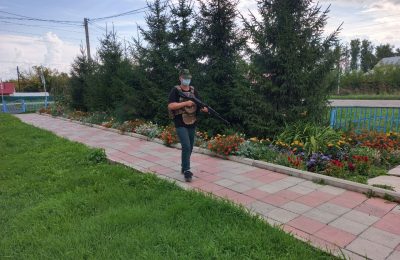 Тревожная готовность