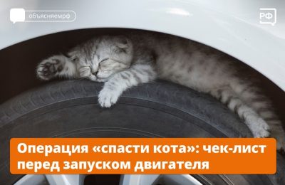 Смотрите под капот – вдруг там кот