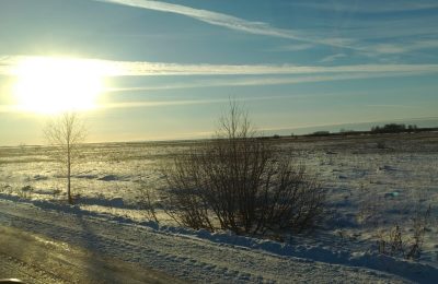 Снежно и тепло будет в новосибирской области в ближайшие выходные