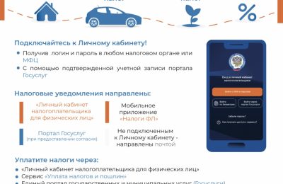 Уплатить имущественные налоги необходимо не позднее 1 декабря 2025 года